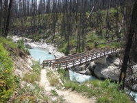 Bridge near Floe Lake Trailhead